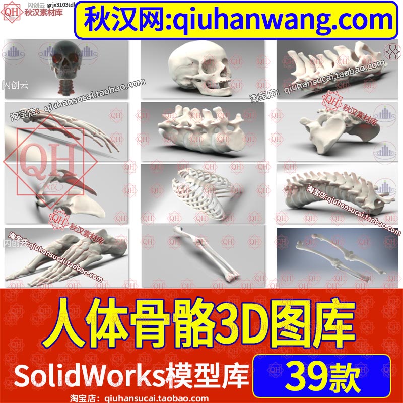 人体骨骼系统三维建模型头骨手脚腿掌手臂肩膀骨架关节设计3D图纸下载-秋汉网